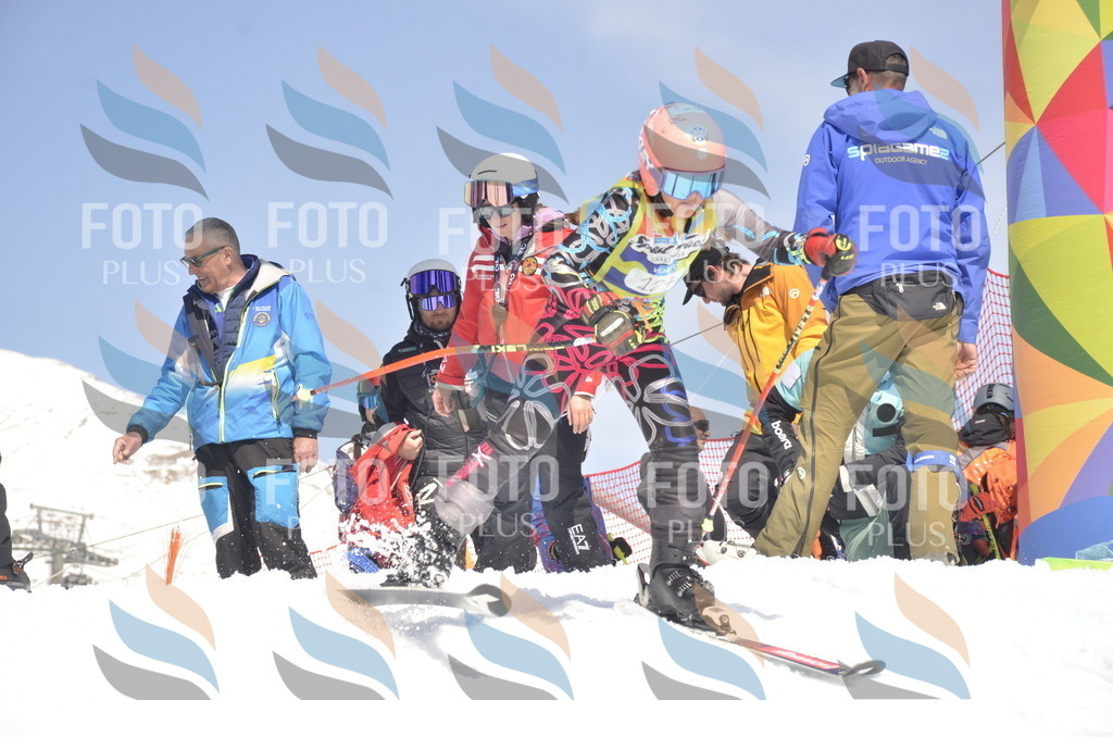 _ELE9587 | holidayphoto