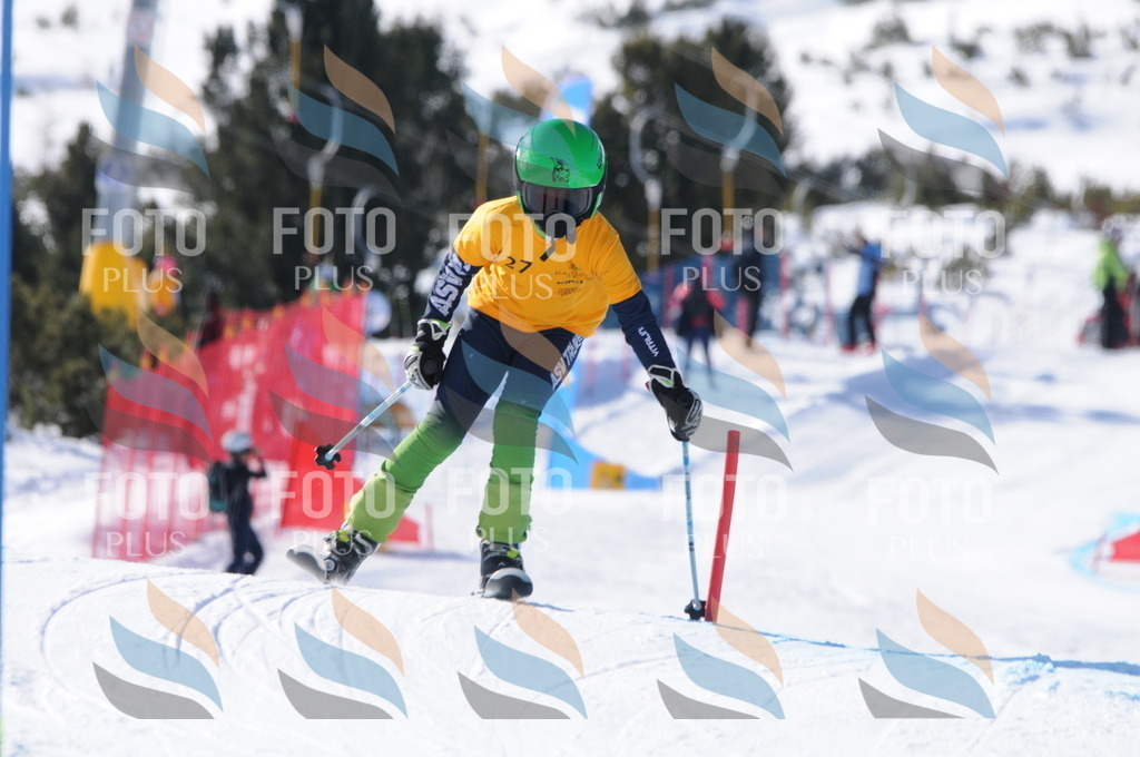 C7195 | holidayphoto