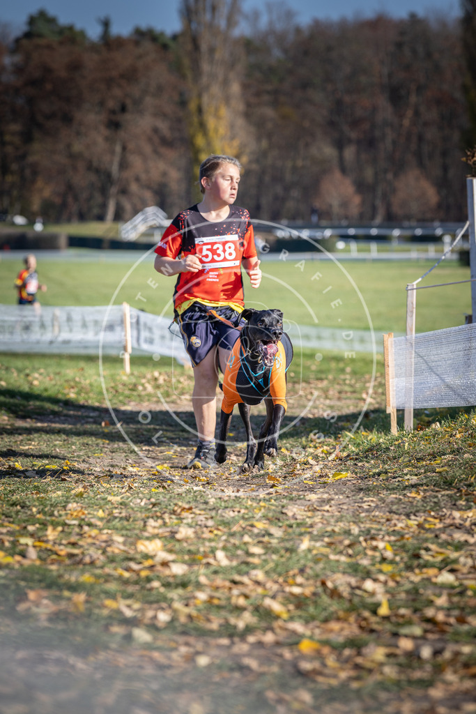 CaniXpix_DV3A8334 | Hundefotografie, Tierfotograf, Pfotenfotografie, Fotoshooting Hund, Hunde Portrait, Hundesport, Hundeportraits, Heideshooting, Hunde, Sportfotograf, Hundefotograf, Turnierhundsport, THS,  - Realisiert mit Pictrs.com