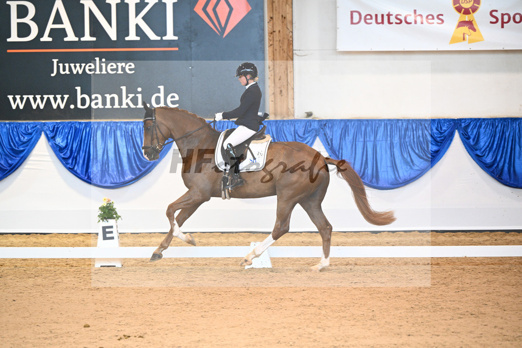 Kat-Nr. 14 Bernardo vom Haidholz_Beck_14240682 | hf-fotografie - Realisiert mit Pictrs.com