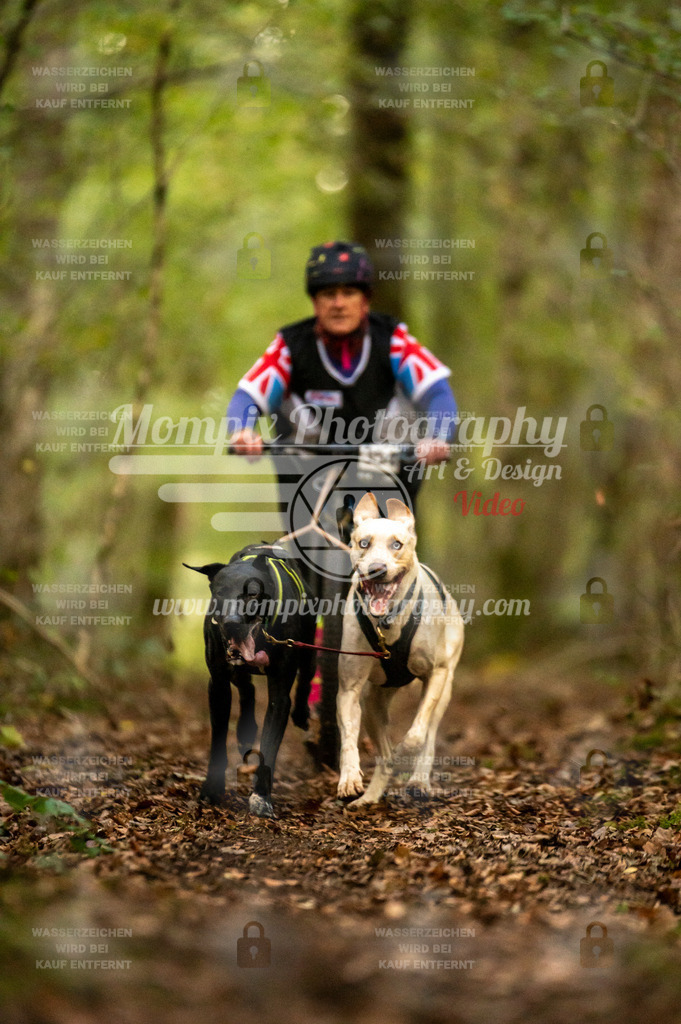 TSB_2023_E1_DS2-26 | PayLife