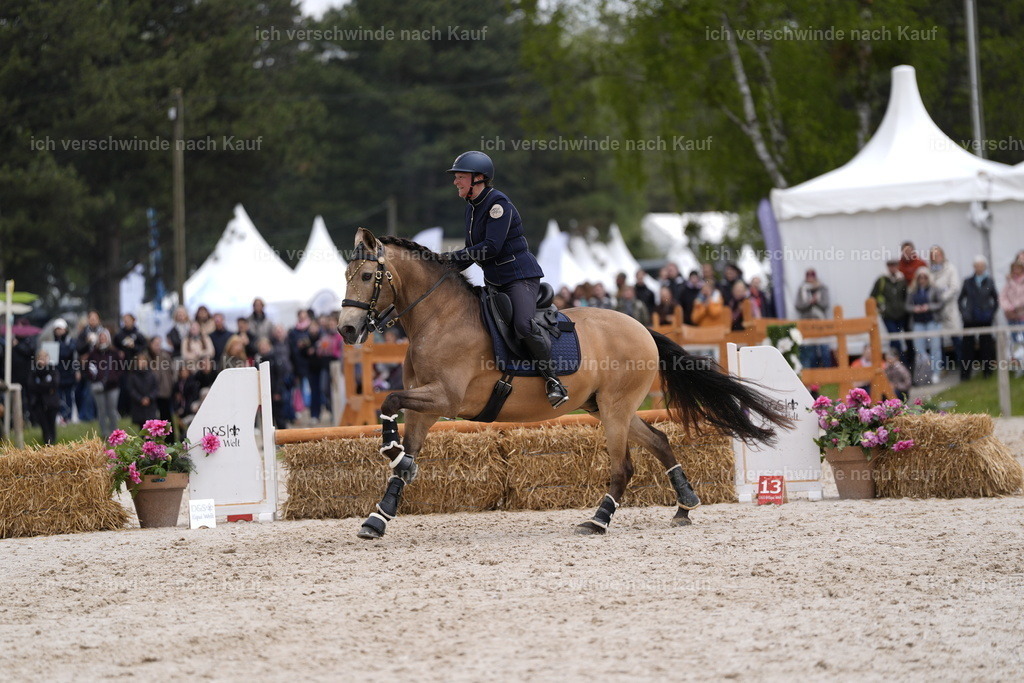 PI26_SP_Stoibphotography_DSC2871.JPG | working equitationturnier fotograf videograf stoibphotography marixx film working equitation deutschland reitsport turnierfotografie eventfotografie equestrian events