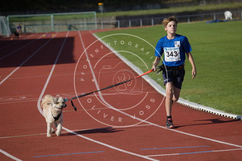 0L8A9133 | Hundefotografie, Tierfotograf, Pfotenfotografie, Fotoshooting Hund, Hunde Portrait, Hundesport, Hundeportraits, Heideshooting, Hunde, Sportfotograf, Hundefotograf, Turnierhundsport, THS,  - Realisiert mit Pictrs.com