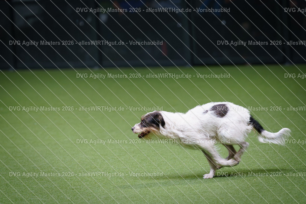 allesWIRTHgut_Tierfotografie-DVG_Agility_Masters_2026-11_32-7R506381 | Professionelle Tierfotografie in Mönchengladbach von Daniel Wirth (allesWIRTHgut). Liebevolle & natürliche Bilder von Hunden & Katzen für unvergessliche Erinnerungen.