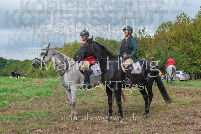 Jagd Perdoel_MarinaHewigDSCF3745 | Fotografie, FotoArt, PferdesportArt, Pferdesportfotografie, Landschaftsfotografie, Reisefotografie, Reise, Pferde - Realisiert mit Pictrs.com