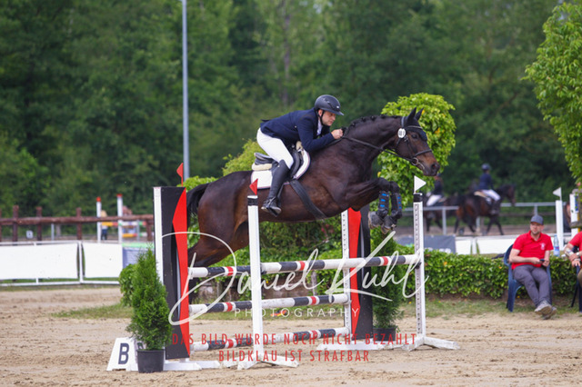 DKP41961 | Turniersportfotografie; Pferdefotografie; Dressurfotografie