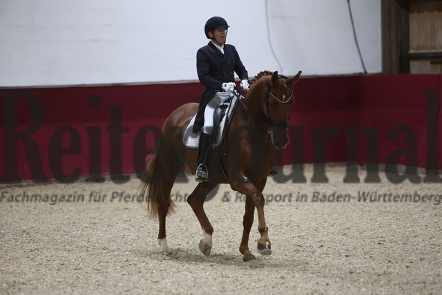 Reutlingen_2024_Prfg.Nr.04_Intermediaire I_Kür_Markus Schetter_Davanti 7 (9) | Alle Fotos der Reiterjournal Fotografin Doris Matthaes im Reiterjournal Online-Fotoshop. - Realisiert mit Pictrs.com