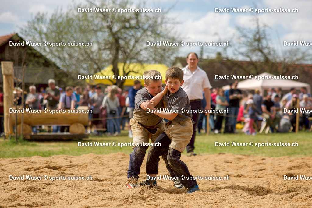 Schlussgang 2017-2018 Kindlimann Phillip (2017) - Ehrler Ramon (2017) 06.04.2026 HEMISHOFEN_ SCHAFFHAUSER FRÜHLINGSSCHWINGFEST (1)-1 | Schlussgang 2017-2018 Kindlimann Phillip (2017) - Ehrler Ramon (2017) 06.04.2026 HEMISHOFEN, SCHAFFHAUSER FRÜHLINGSSCHWINGFEST
