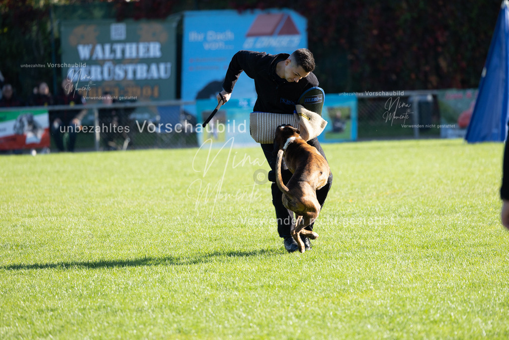_16A5025 | Einzigartige Fotos von Hunden & Menschen –Actionfotos, Portraits, Vereinsaufnahmen & Paarshootings – authentisch, lebendig & mit Herz.