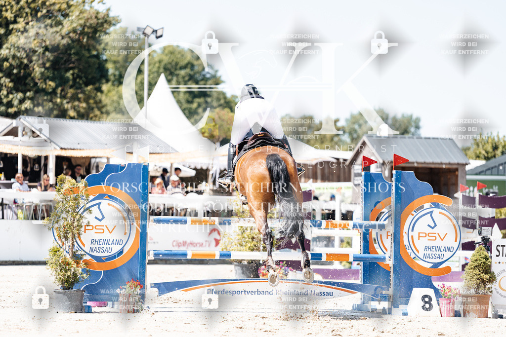 CK909628 | Turnierfotografie Pferdefotografie Trier Rheinland-Pfalz Pferdesport Reitsport Tierfotografie Sportfotografie Pferdevideo Pferdevideografie Equestrianvideography equestrianphotography  - Realisiert mit Pictrs.com