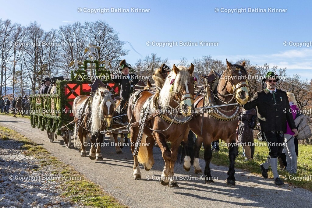 LBT25-973 | foto-bettina-krinner - Realisiert mit Pictrs.com