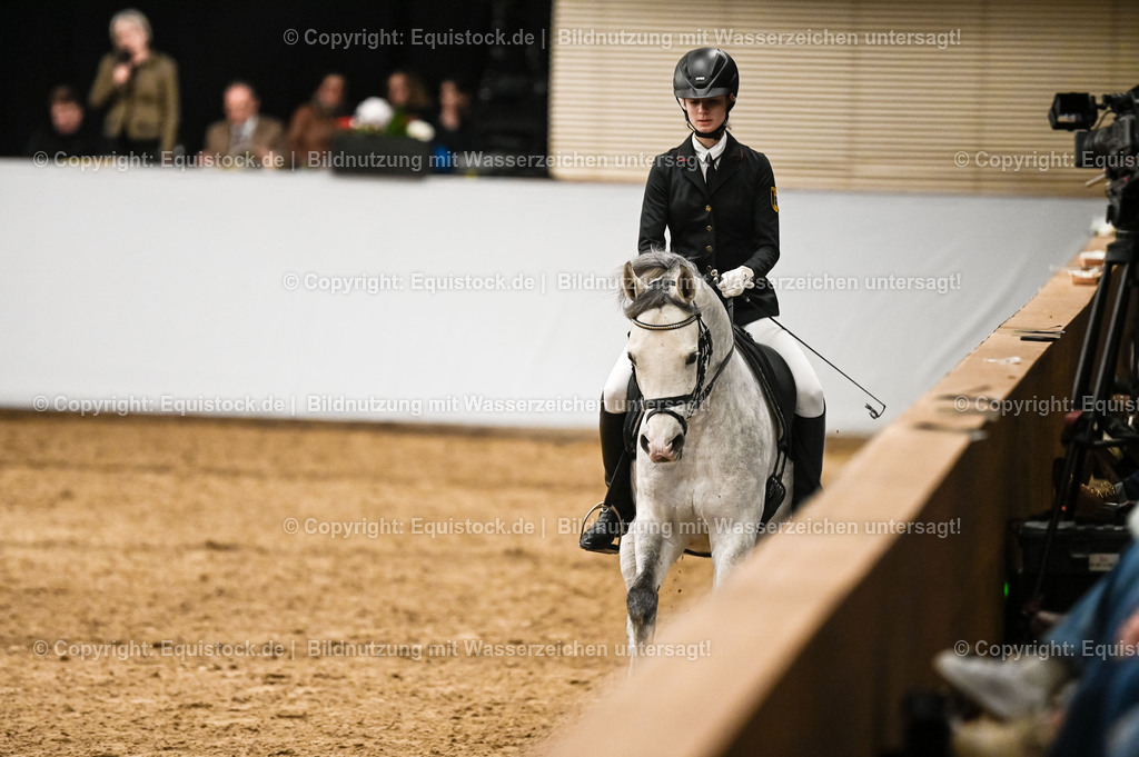 20260307_Hengstvorstellung-Marbach_0424 | equistock