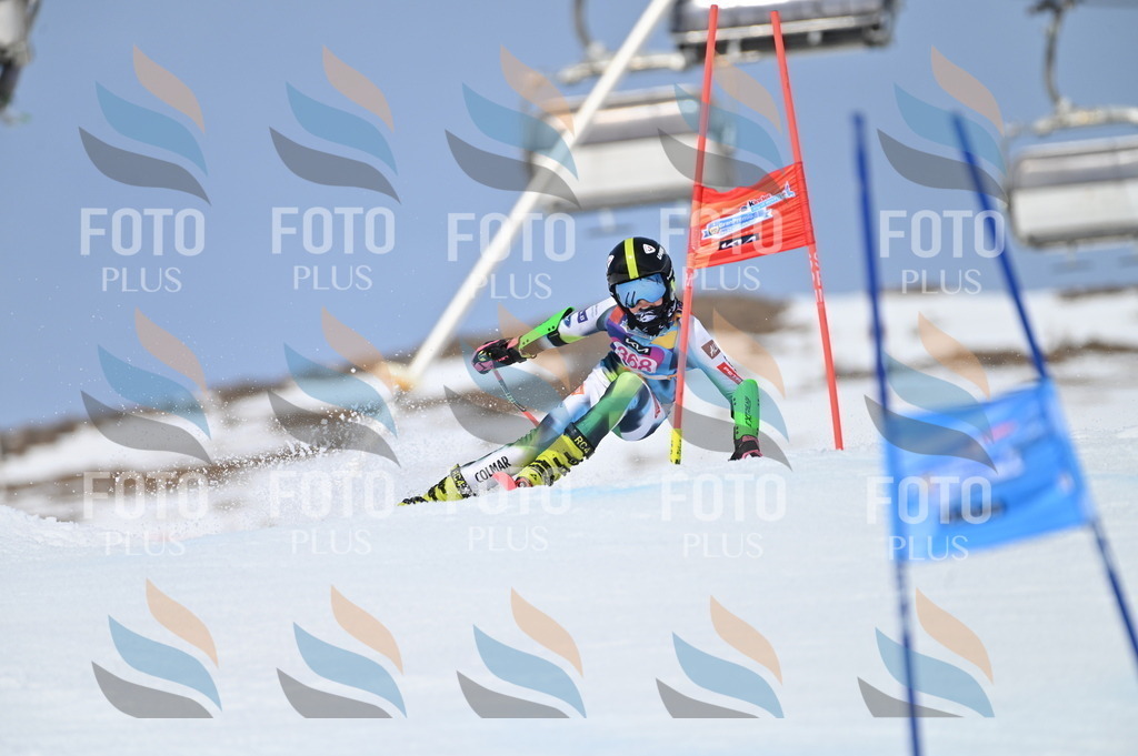 BGV_3986 | holidayphoto