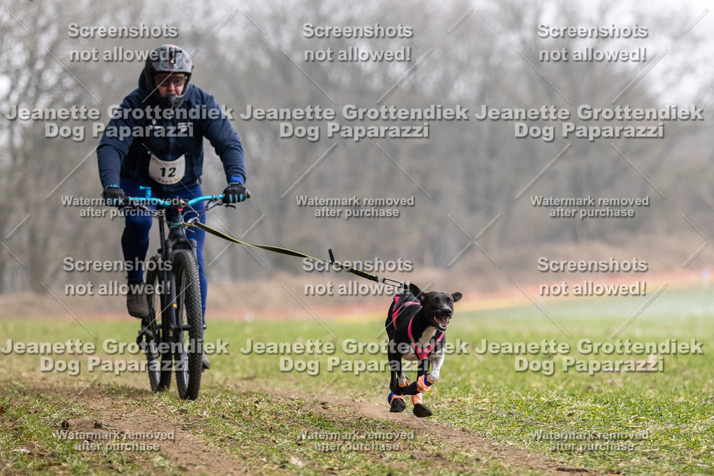 Dog Paparazzi - Plate 2026-19 | Dog Paparazzi Jeanette Grottendiek Fotografie & Videografie - Realisiert mit Pictrs.com