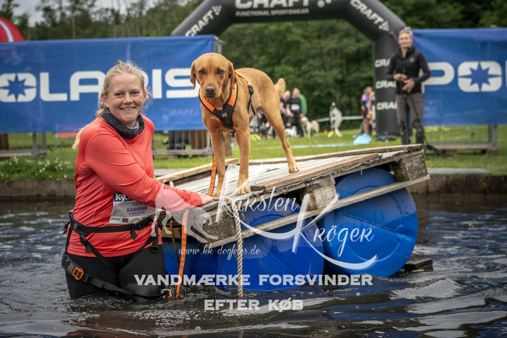 1008_ZZ94605 | kk-dogfotos