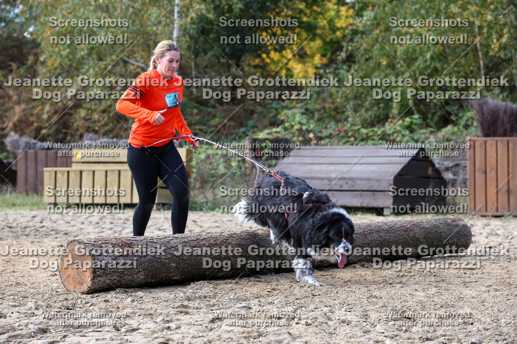 Dog Paparazzi - Strongdog 10-25-5443 | Dog Paparazzi Jeanette Grottendiek Fotografie & Videografie - Realisiert mit Pictrs.com