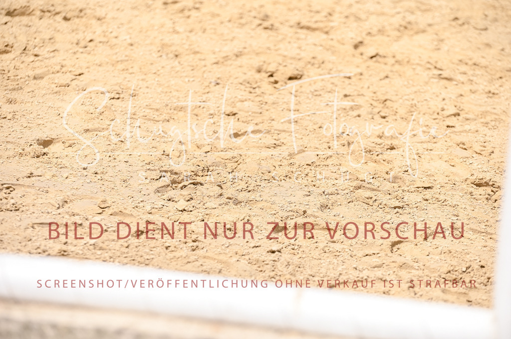 Schugtsche-Aluta25-55.Dressurreiterprf.L1Tr-120 | Schugtsche Fotografie - Realisiert mit Pictrs.com