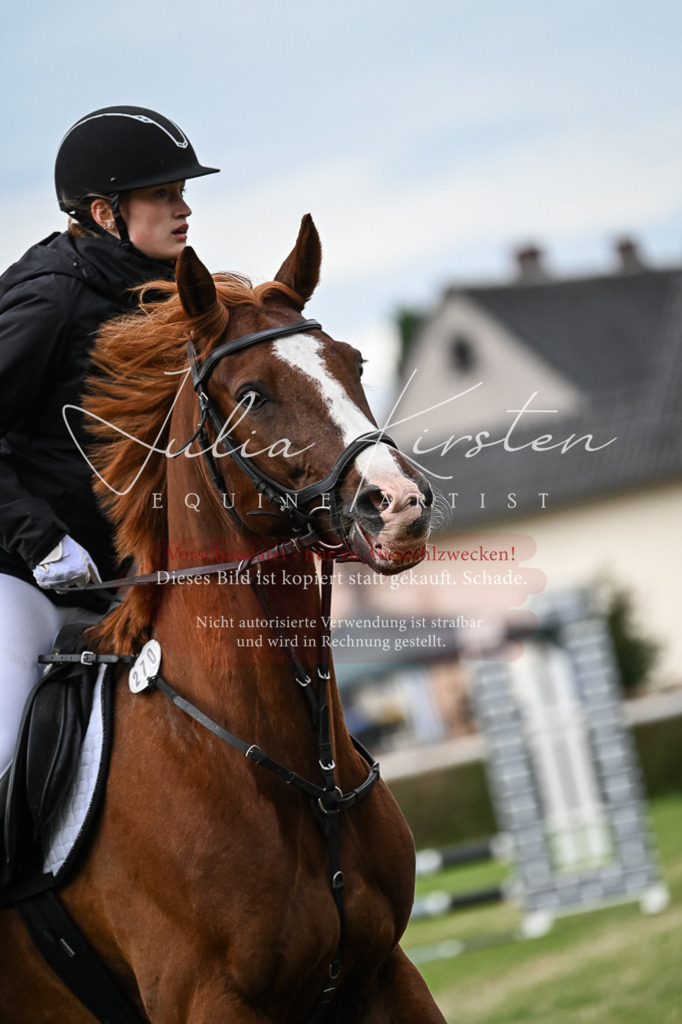 DSC_8376 | Pferde- und Turnierfotografie in Westsachsen. Pferdeportraits, Auftragszeichnungen und intuitive Kunst.