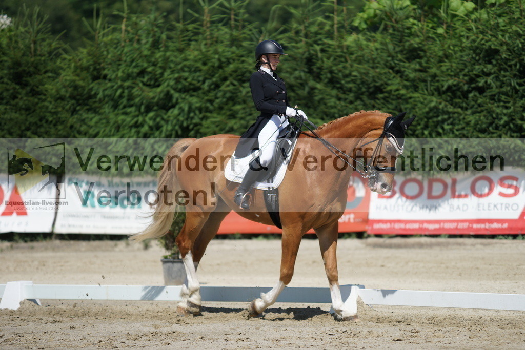 DSC03135 | equestrian-live-com
