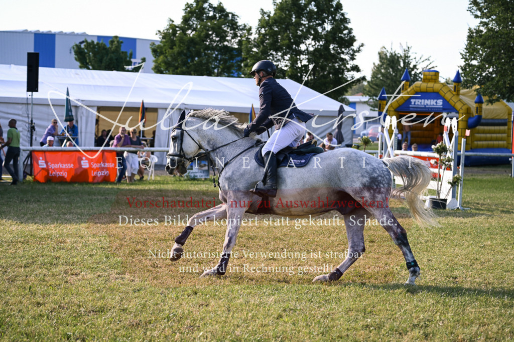 DSC_1731 | Pferde- und Turnierfotografie in Westsachsen. Pferdeportraits, Auftragszeichnungen und intuitive Kunst.