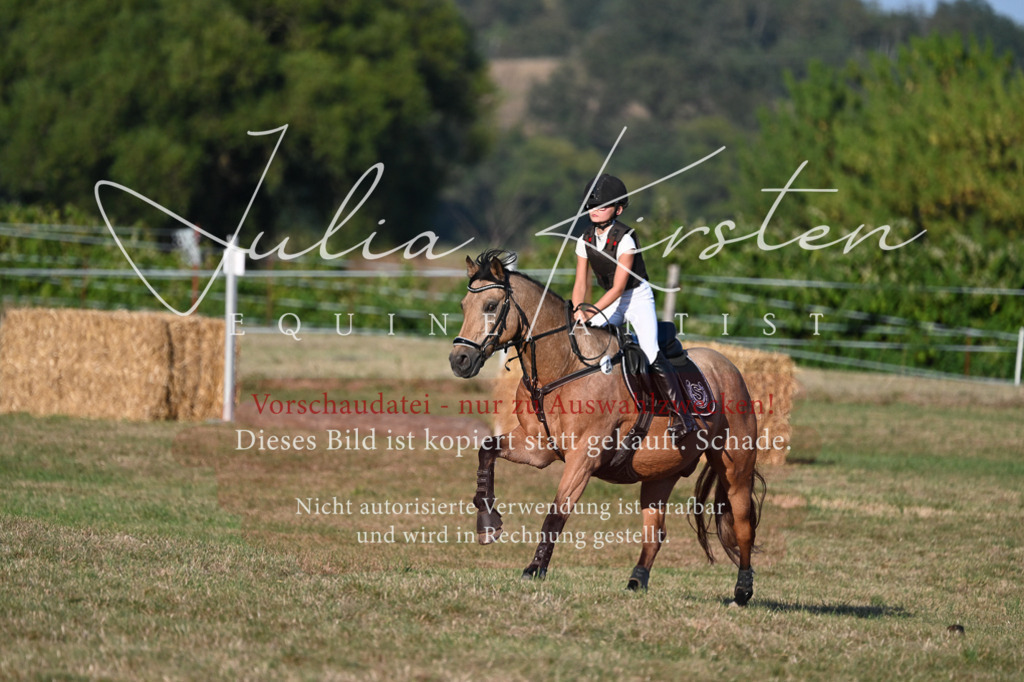 DSC_9185 | Pferde- und Turnierfotografie in Westsachsen. Pferdeportraits, Auftragszeichnungen und intuitive Kunst.