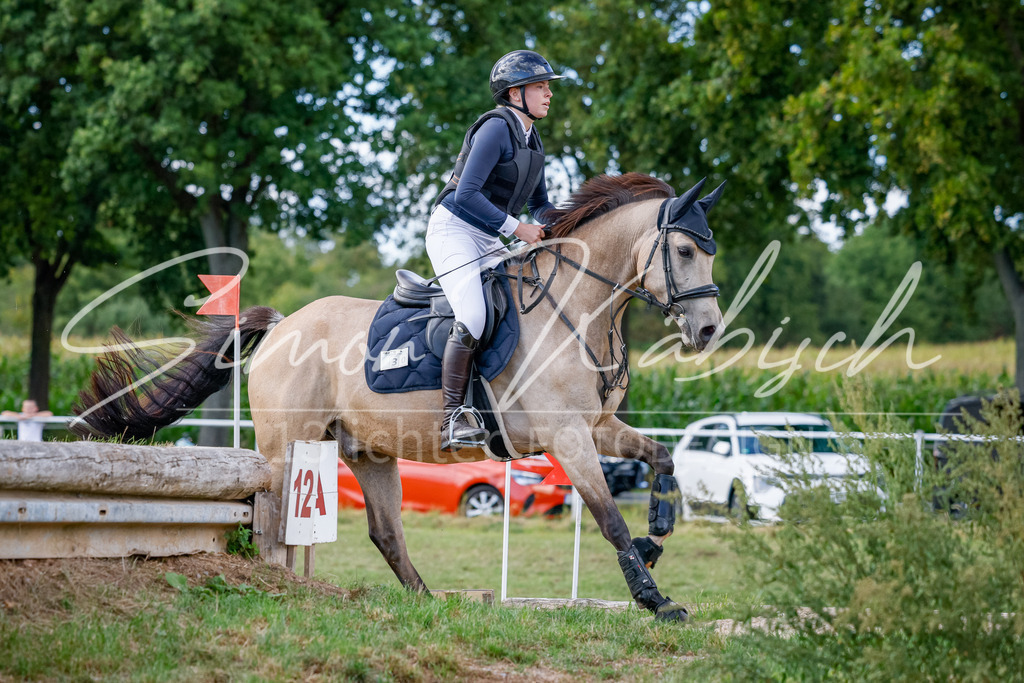 20250905-_3LI1883 | Tierfotografie Pferde, Hunde, Katzen, Haustiere.
Turnierfotografie Reitturniere, Reiten, Springreiten, Dressur in Hanau, dem Main-Kinzig-Kreis und dem Rhein-Main- Gebiet um Frankfurt