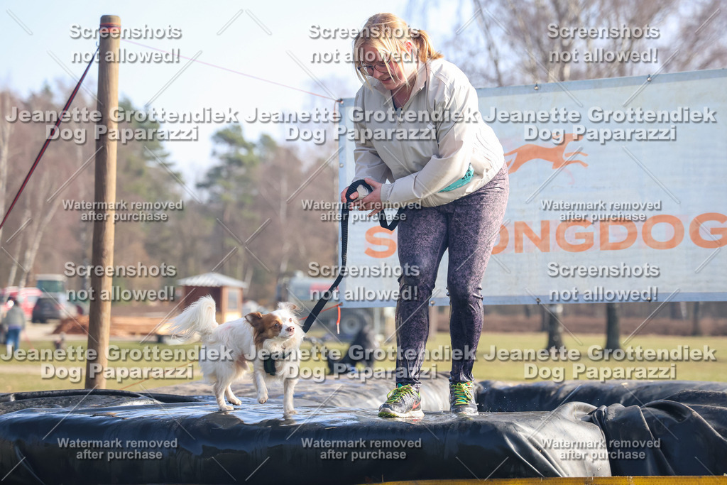 Dog Paparazzi - Strongdog North Mrz26-887 | Dog Paparazzi Jeanette Grottendiek Fotografie & Videografie - Realisiert mit Pictrs.com