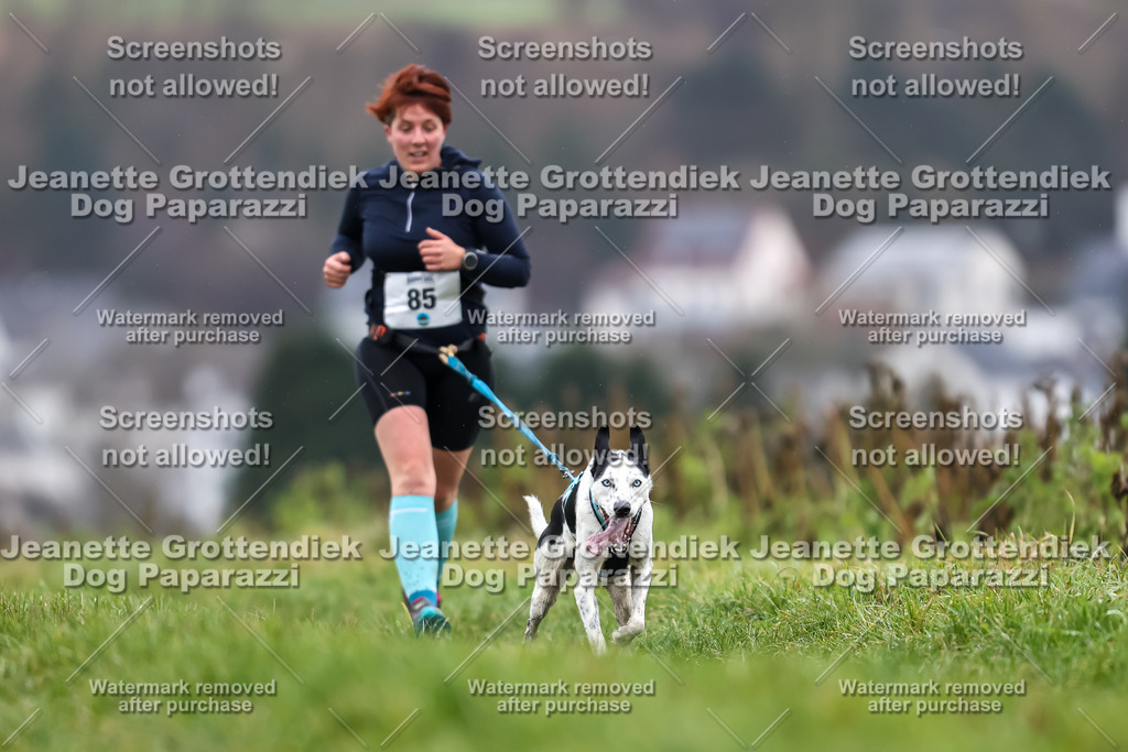 Dog Paparazzi - Herkules Race  2025-77 | Dog Paparazzi Jeanette Grottendiek Fotografie & Videografie - Realisiert mit Pictrs.com