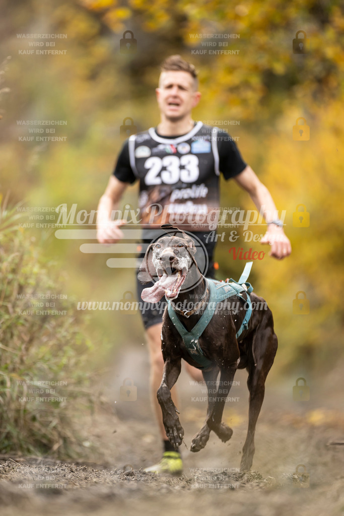 MompixPhotography_ICF_WC_2024_SA_Run_-3 | PayLife