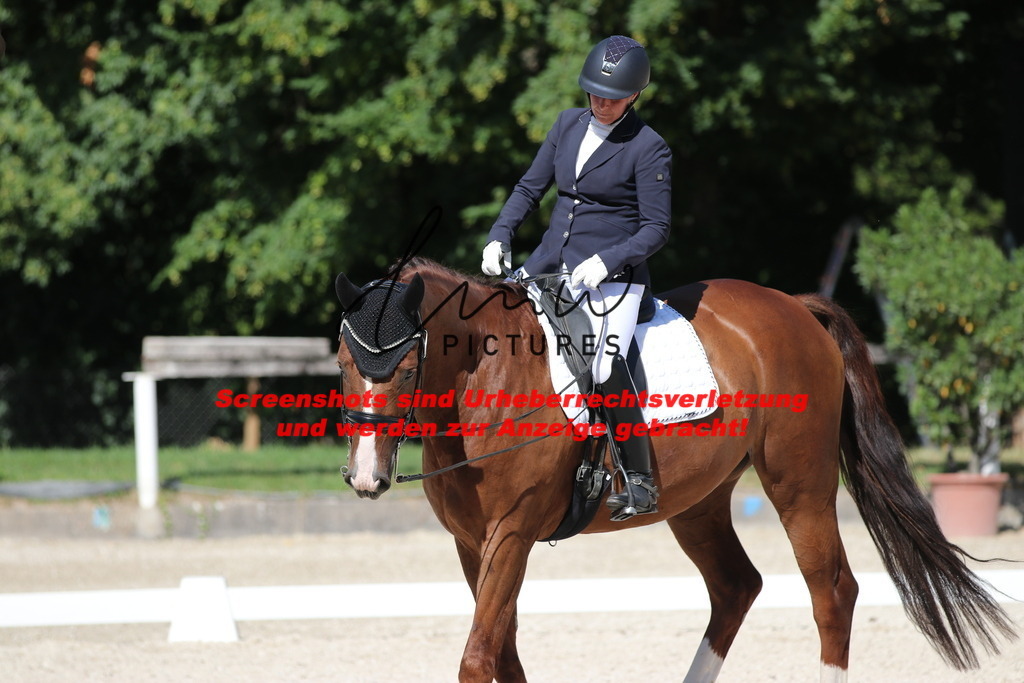 IMG_5535 | lmwpictures - Realisiert mit Pictrs.com