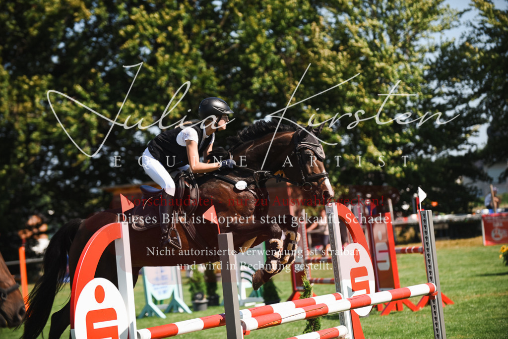 DSC_2712 | Pferde- und Turnierfotografie in Westsachsen. Pferdeportraits, Auftragszeichnungen und intuitive Kunst.