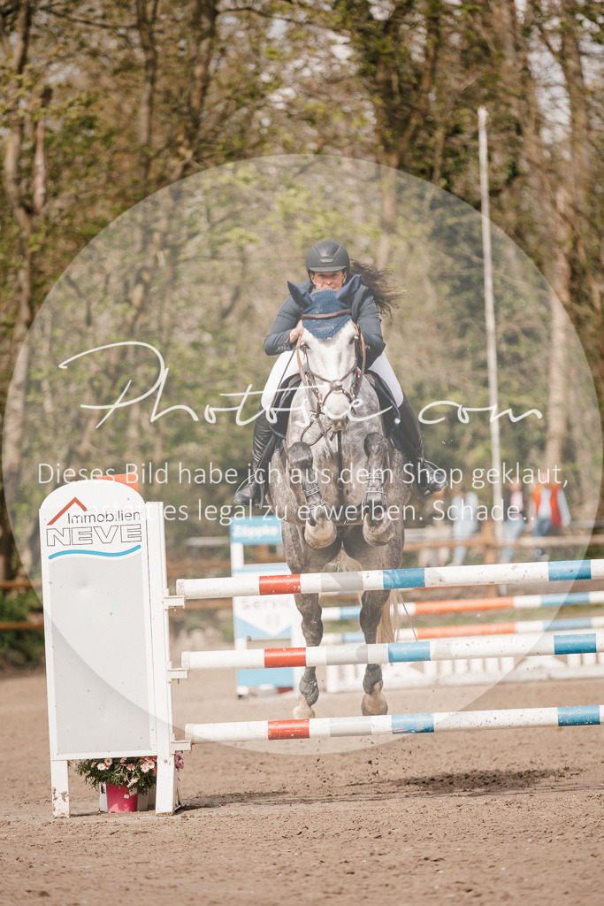 3I6A4249 | Stimmungsvolle Portraits und Reitsportfotografie im Ruhrgebiet und im Münsterland.

Pferdefotografie, Hundefotografie, Tierfotografie, Reportagen, Portraits von Tier und Mensch, Turnierfotografie in Bochum, Recklinghausen, Marl, Haltern am See, Dülmen.. - Realisiert mit Pictrs.com