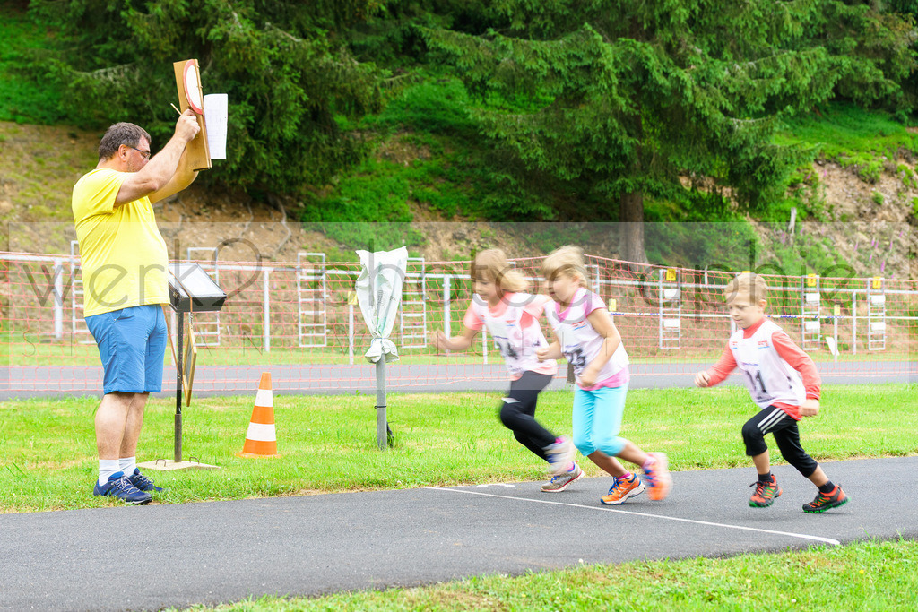 Tag Biathlon Scheibe-Alsbach | TAG BIATHLON am 10. Juni 2018 auf der Biathlonanlage "Am Rußtiegel" in Scheibe-Alsbach