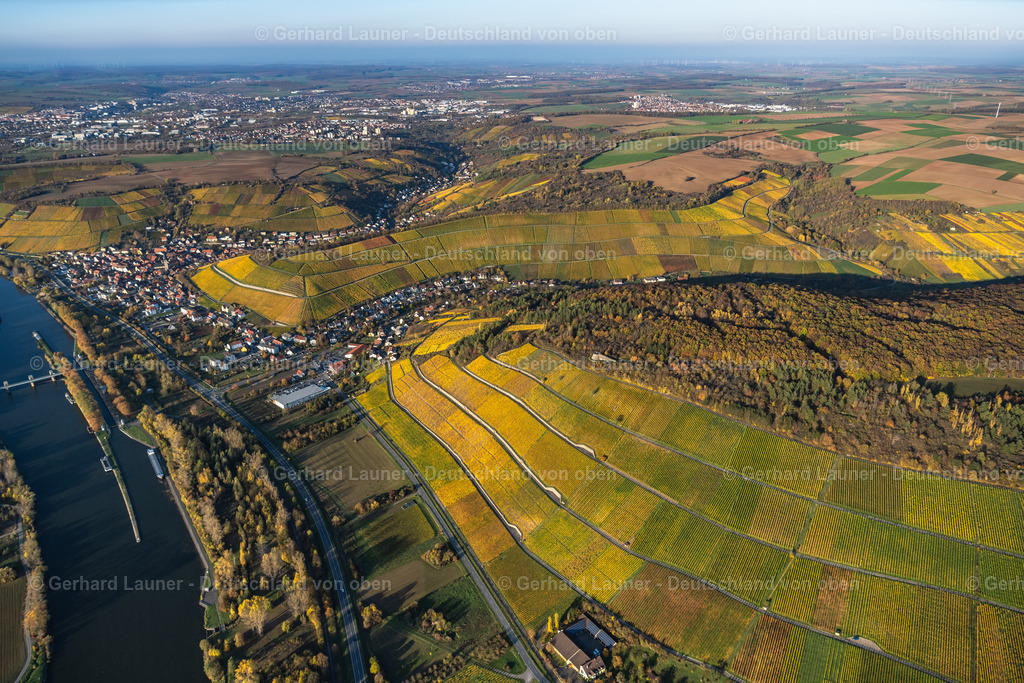 4042256 | Weinbergslandschaft an der Mainschleife bei Escherndorf und Nordheim