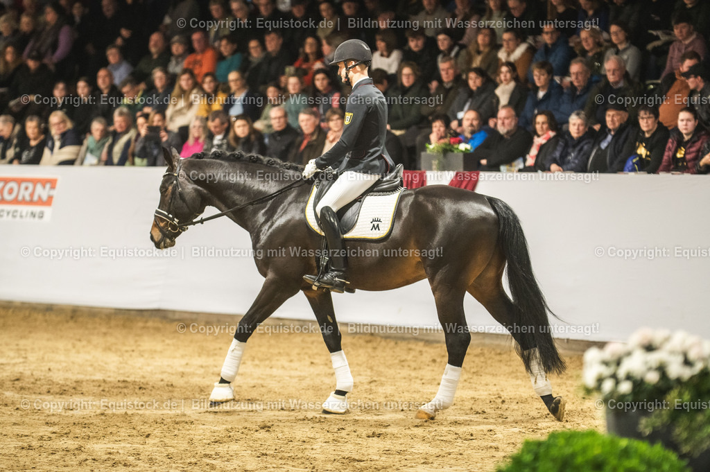 20240302_Hengstvorstellung_Marbach_TOMsPiC_0415 | equistock
