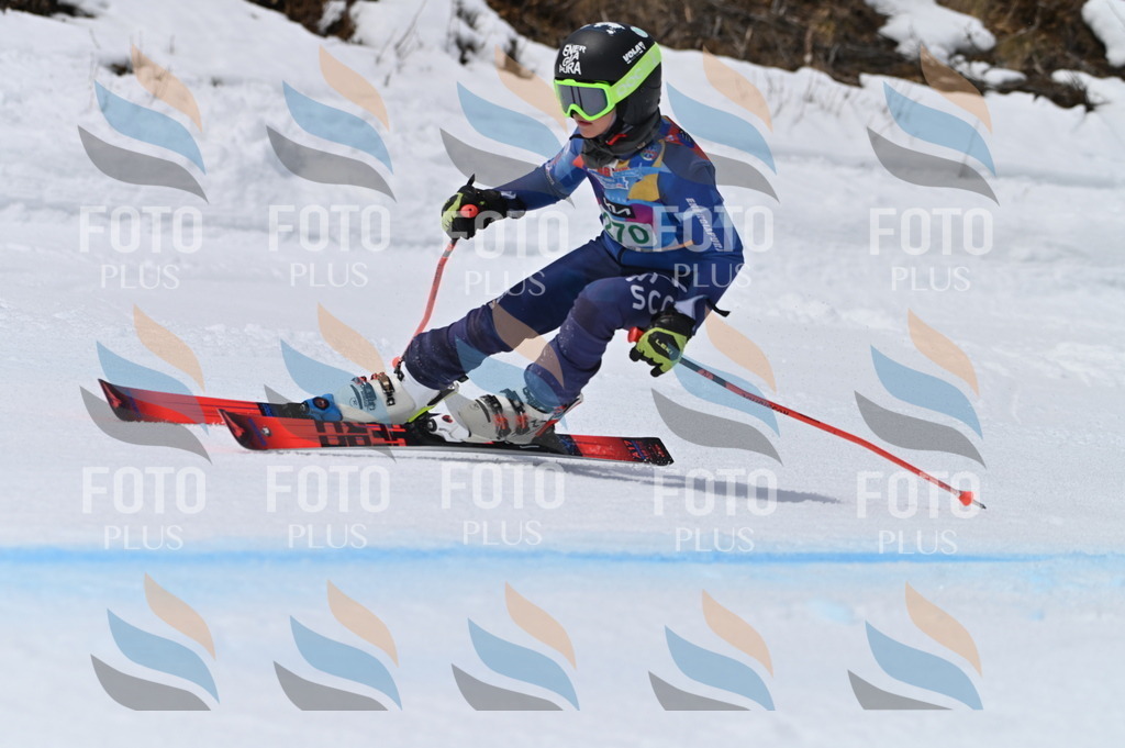 BGV_5354 | holidayphoto