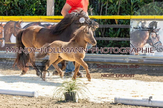 _MG_0696 | mandyhollmannphotographie