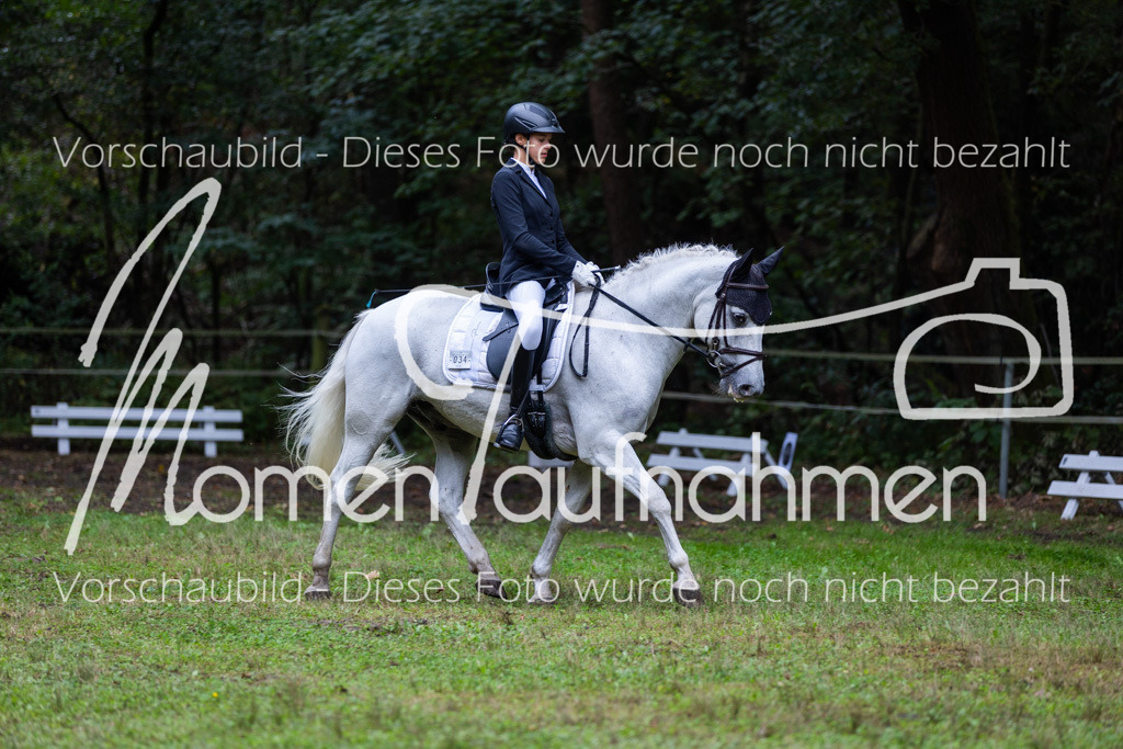 HB-A-Dressur-094 | MomenTaufnahmen Pferdesportfotos