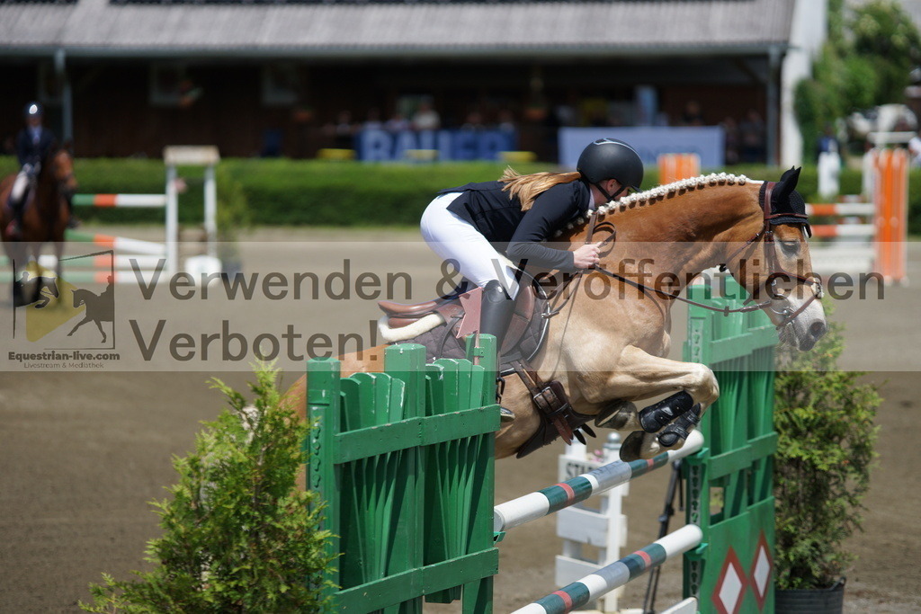 DSC05126 | equestrian-live-com