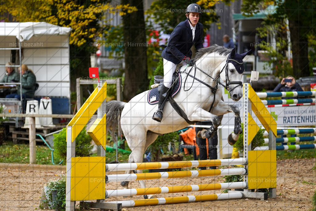 20221009-FAH08357 | Diessen am Ammersee, 2022, Dressur- und Springturnier, Reitsportbilder, Turnierfotografen Bayern, Pferdefotografen, Fotoagentur Herrmann, Turnierbilder