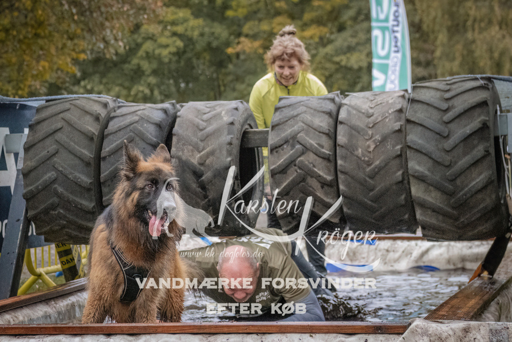 1654_ZZ94340 | kk-dogfotos