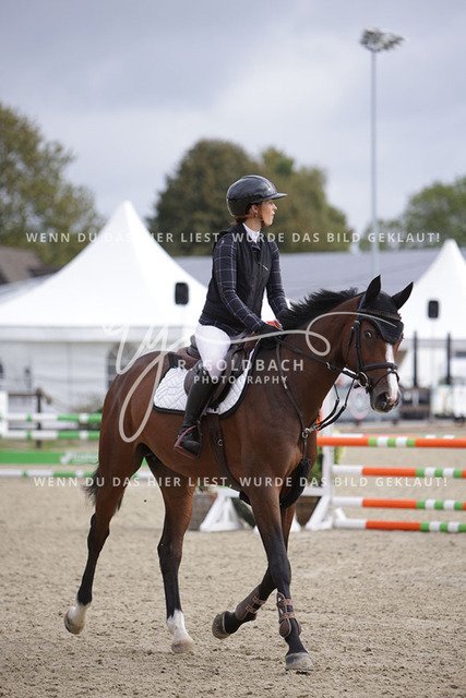 1J2A1786Antonia Selina Brinkop_ Con Calma 3_ Kn261_ Havekost | Foto- und Videografie für alles rund ums Pferd. Hochwertige Bilder und Videos vom Spring- und Dressurreiten, Voltigieren & mehr. Jetzt aktuelle Veranstaltungen und Preise im Shop ansehen. - Realisiert mit Pictrs.com
