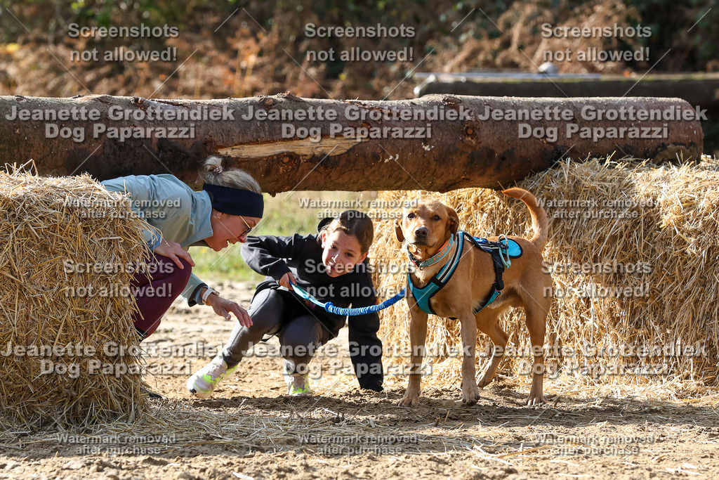 Dog Paparazzi - Strongdog 10-25-5931 | Dog Paparazzi Jeanette Grottendiek Fotografie & Videografie - Realisiert mit Pictrs.com