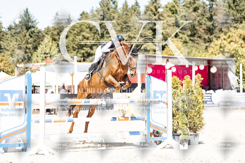 CK900439 | Turnierfotografie Pferdefotografie Trier Rheinland-Pfalz Pferdesport Reitsport Tierfotografie Sportfotografie Pferdevideo Pferdevideografie Equestrianvideography equestrianphotography  - Realisiert mit Pictrs.com