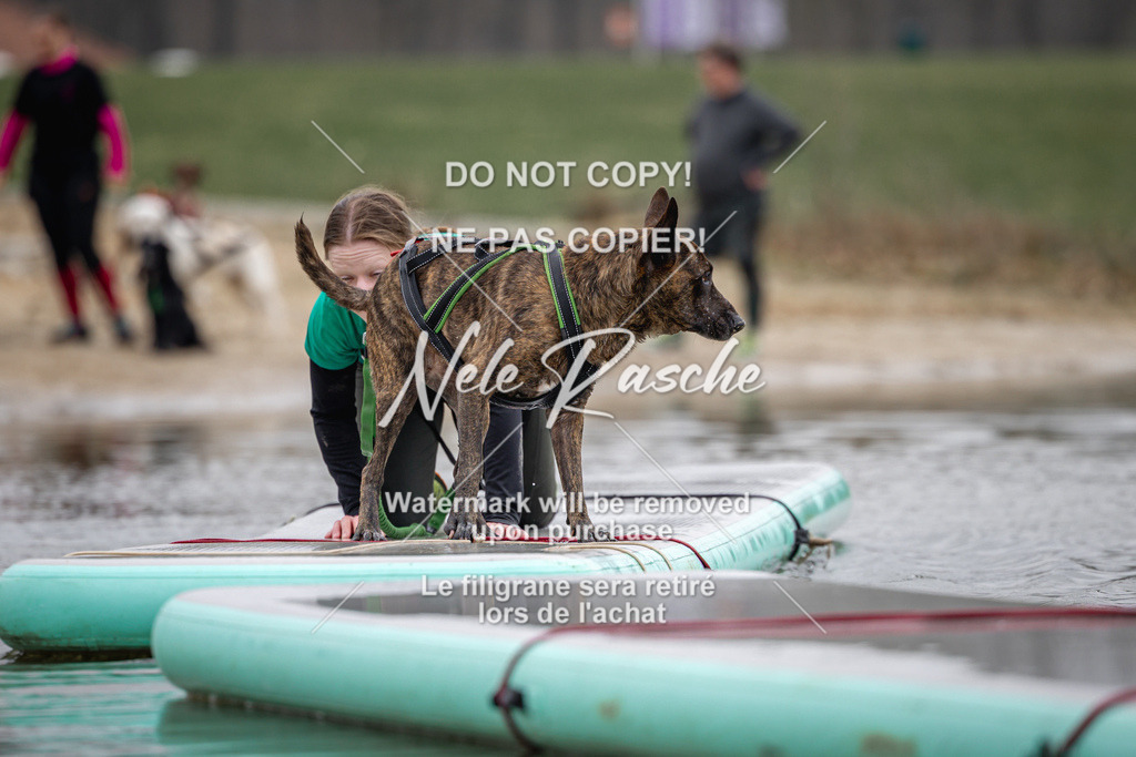 nelerasche_Hulsbeek_Sa1230-1330_313 | nelerasche
