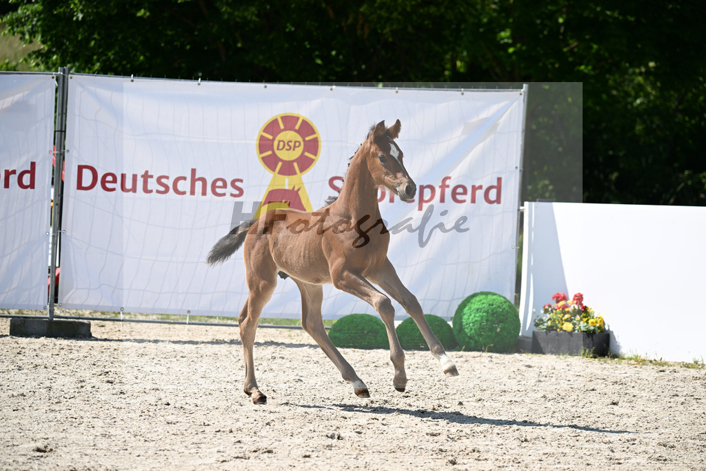 Viva Vitalis x Le Champion_HF_Renz_13251706 | hf-fotografie - Realizzato con Pictrs.com