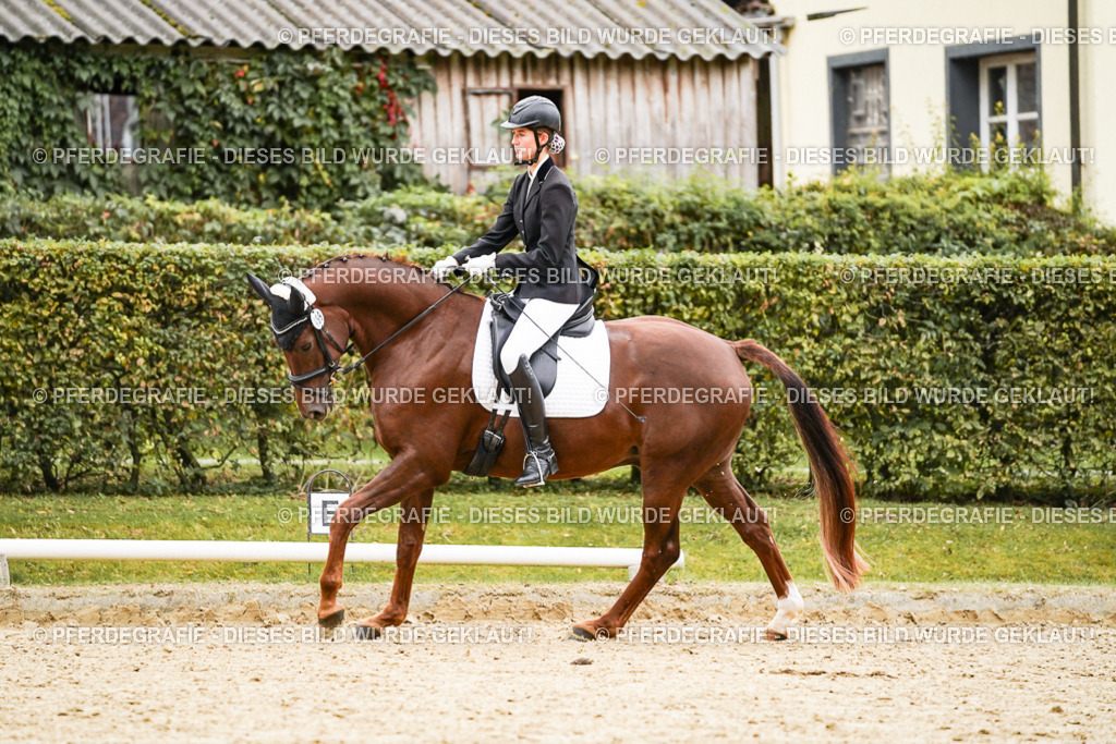 DSC08677 | Pferdegrafie