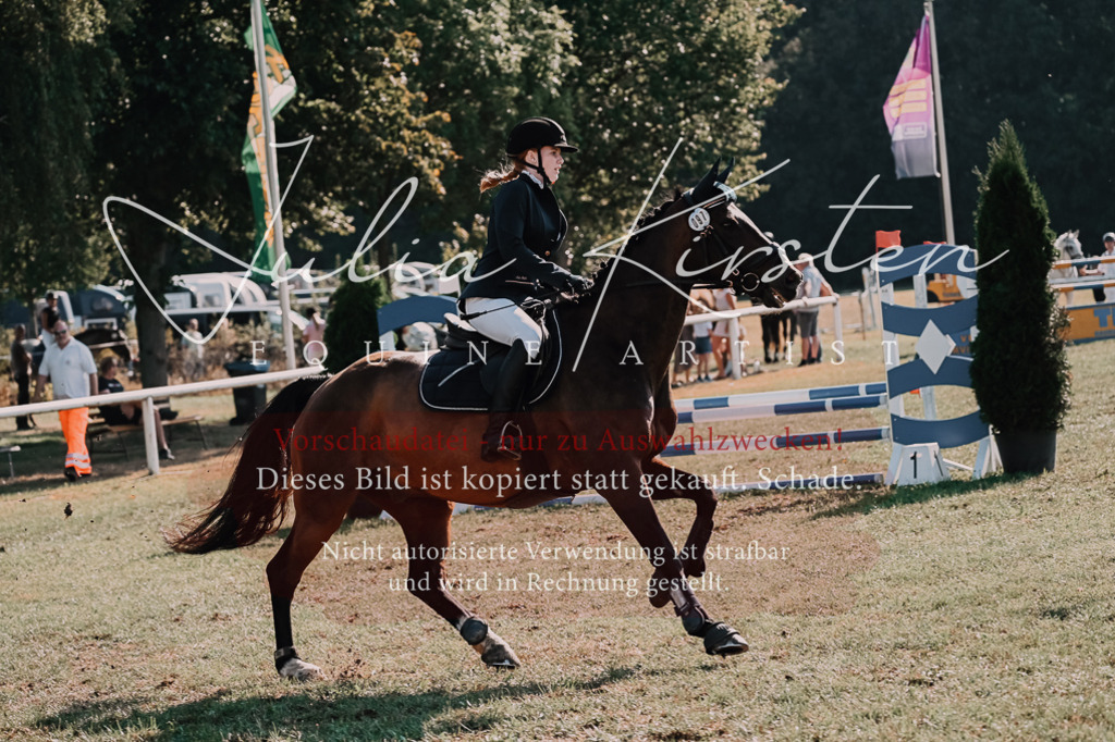 DSC_4810 | Pferde- und Turnierfotografie in Westsachsen. Pferdeportraits, Auftragszeichnungen und intuitive Kunst.