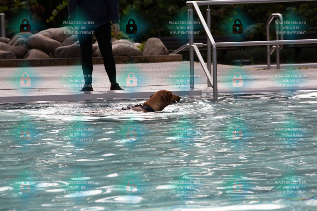 _HP_7505_1000o | HetPix, HetPix Fotodesign, Fotografie, Fotodesign, Webshop, Sportfotografie, Portraitfotografie, Onlineshop, Sportfotografie, Polch, Motorsportfotografie, Eventfotografie