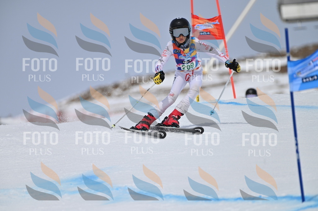 BGV_4035 | holidayphoto